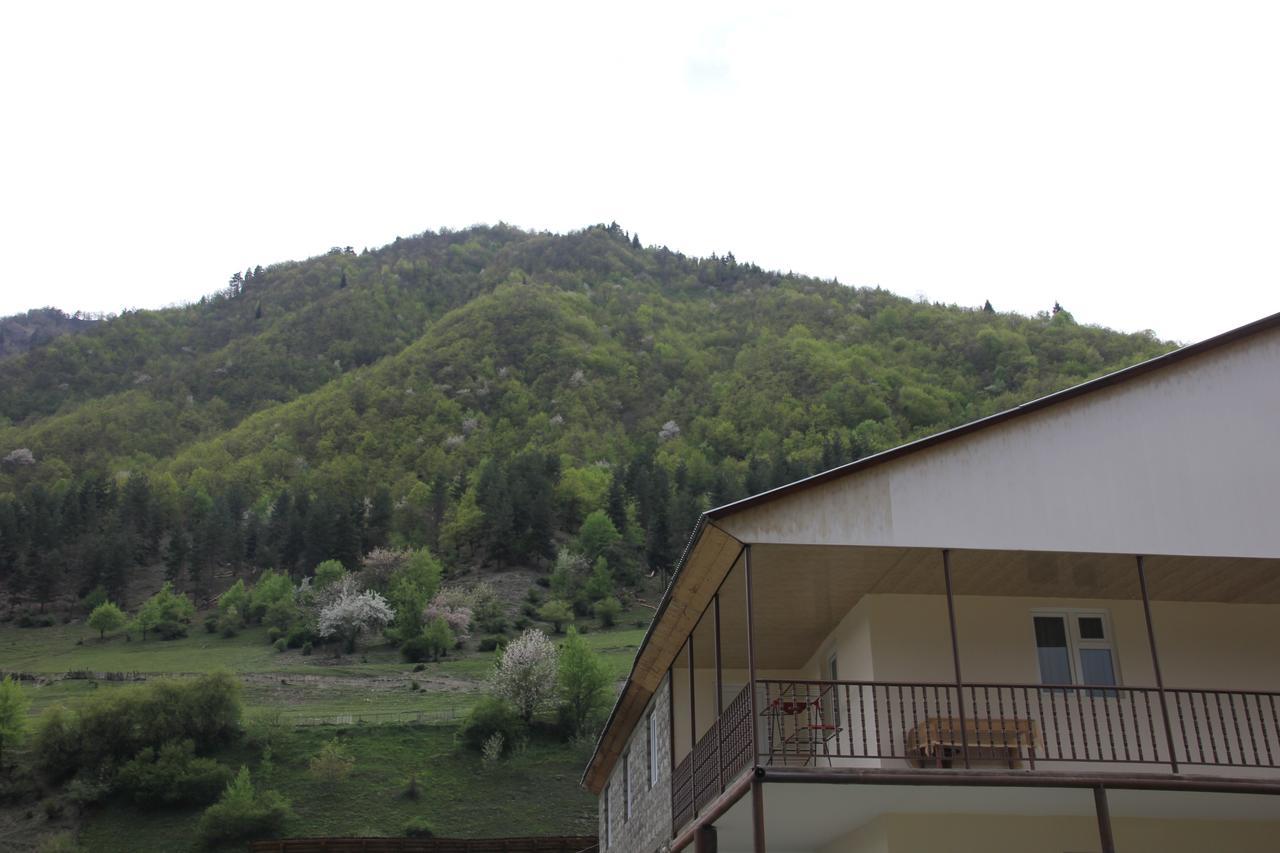 Guesthouse Qarim Mestia Dış mekan fotoğraf